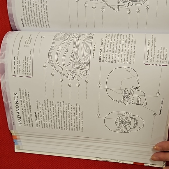 The Human Body Coloring Book the ultimate anatomy study guide 2011 DK reference - Picture 7 of 16